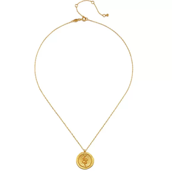 Satya Jewelry Kette Eternal Energy Snake Coin, Vergoldet